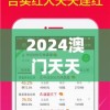 2024澳门天天开好彩大全2024管家婆,探讨决策过程中资料的重要性_修改款.3.785