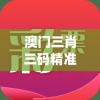 澳门三肖三码精准1OO%,详细解读解释落实_管家婆.0.613