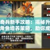 神话奇兵新手攻略：揭秘升级技巧与角色培养策略，助你成为最强玩家