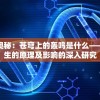探究科学奥秘：苍穹上的轰鸣是什么——对雷电产生的原理及影响的深入研究