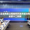 探讨中国知名企业网易公司如何开发并成功推出游戏产品《长安十二时辰