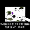 米姆米姆哈测试版手机版单机版中文下载-米姆米姆哈测试版免费版下载v.6.17
