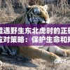最准一码一肖100%精准管家婆  ,提高资料处理效率的策略_精简版SIP.6.48