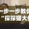 一步一步教你“探探猫大作战”战胜对方的全盘策略攻略，赢在细节的必杀技揭秘