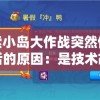 探索小岛大作战突然停服背后的原因：是技术故障还是运营问题？