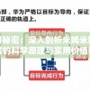 探寻秘密：深入剖析米姆米姆哈测试的科学原理与实用价值评估