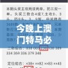 今晚上澳门特马必中一肖,专业研究解释落实_精细款.9.245