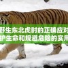 遭遇野生东北虎时的正确应对策略：保护生命和规避危险的实用指南