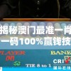 揭秘澳门最准一肖一码100%赢钱技巧，让您轻松破解秘密