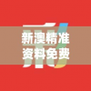 新澳精准资料免费提供网站管家婆,机构预测解释落实方法_独立版.2.364
