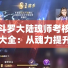 新斗罗大陆魂师考核攻略大全：从魂力提升到战术运用，全面解析成为一流魂师的秘诀