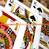 FC游戏：半熟英雄全王牌全将军全蛋兽资料精彩揭秘