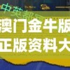 澳门一肖一码100%精准一管家婆，助你成功破解密码，轻松赢取百万财富!