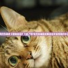 网传热播剧《猫咪田园》下架了吗?官方急需回应解读影片是否真的中止