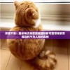 获取新澳天天彩免费资料，为您揭秘最新资讯和赢钱技巧!