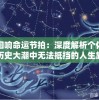 宿命回响命运节拍：深度解析个体在社会历史大潮中无法抵挡的人生旋律