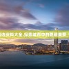 蓝月亮正版精选资料大全,探索城市中的隐藏美景_铂金版.8.871