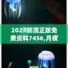 2024新澳正版免费资料7456,月夜下的星辰与梦想_FT.7.258