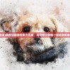 (萌宠大放送)萌宠送福游戏官方正版，与可爱小动物一起畅游新春祈福活动