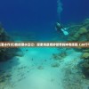 (海底潜水作文)我的潜水日记：探索海底奇妙世界的神奇旅程（20个字符）