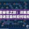 探索秘密之旅：详解魔镜物语迷宫森林如何轻松过关的步骤与策略