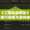 腾讯版《三国志战略版》的深度研究：技巧策略与游戏体验之间的精细平衡