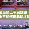 小宝当皇上平民攻略：神秘小宝如何用聪明才智挑战皇室规则获得平民信任与支持