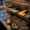 chocotto stadium最新版煎饼店免广告下载-chocotto stadium无限金币免广告版下载v.3.32