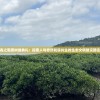 森之国度树缘典礼：探索人与自然和谐共生的生态文明建设路径