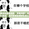 2024澳门天天开好彩大全2024,精细分析解释落实_电影版.5.264