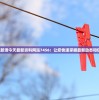 探究新澳今天最新资料网站7456：让您快速掌握最新动态和信息。