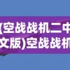 (空战战机二中文版)空战战机，未来战争的天空霸主