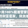 一码一肖100%精准管家婆，你身边的财富密友，预测准确赚大钱