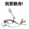 疯狂咸鱼翻身无限金币版下载-疯狂咸鱼翻身无限钻石免费版下载无广告v.1.75