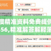 溴门一肖一码精准100王中王7456,定量解答解释落实_便宜版.1.532