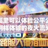 在哪里可以体验公平公正，别样体验的夜火流光游戏？揭秘各大游戏平台资源分布