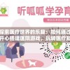 探索医疗世界的乐趣：如何通过开心搭建医院游戏，玩转医疗知识和医院管理技巧