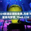 2024新港彩原料免费,月夜下的星辰与梦想_The8.210