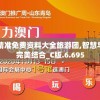 澳门最精准免费资料大全旅游团,智慧与策略的完美结合_C版.6.695