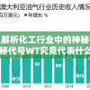 深入解析化工行业中的神秘仪表：揭秘代号WT究竟代表什么化工设备