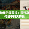 探究神秘的蓬莱镇：是否真的是传说中的天神镇
