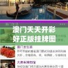 澳门天天开彩好正版挂牌图198期,未来科技探索新视野_娱乐款.1.228