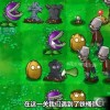 植物大战僵尸抽卡版最新版手游最新版下载-植物大战僵尸抽卡版最新版安卓版v.4.25