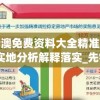 新澳免费资料大全精准版,实地分析解释落实_先锋版Hdd.5.822