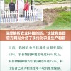 深度解析农业科技创新：'这城有良田'官方网站介绍了现代化农业生产和管理技术