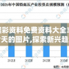新澳彩资料免费资料大全33图库今天的图片,探索新兴趋势与生活智慧_Console.1.806