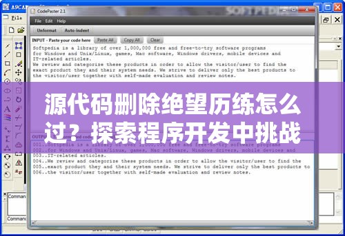 源代码删除绝望历练怎么过？探索程序开发中挑战的艰辛与解决之道