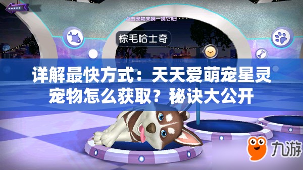 详解最快方式：天天爱萌宠星灵宠物怎么获取？秘诀大公开