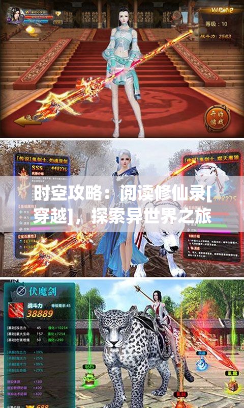 时空攻略：阅读修仙录[穿越]，探索异世界之旅，披荆斩棘成就天尊