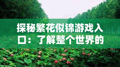 探秘繁花似锦游戏入口：了解整个世界的紧张刺激与独特魅力
